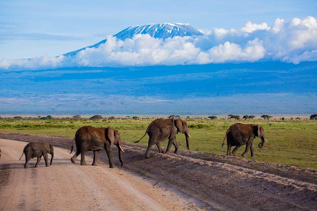 Amboseli Serena Safari Lodge Fasilitas foto