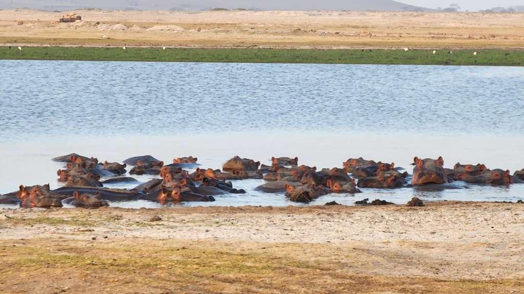 Amboseli Serena Safari Lodge Fasilitas foto